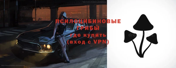 мяу мяу мука Белокуриха