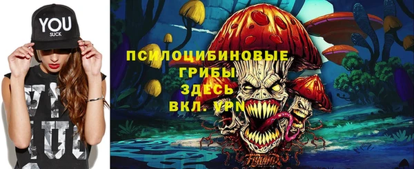 дурь Аша