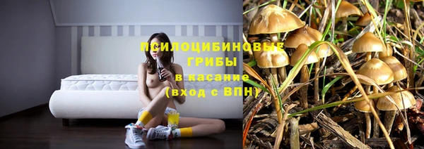 спайс Бабаево